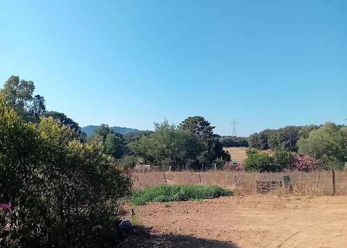 La Maison Sous Les Oliviers Casa D'iloa Hébergement de vacances Porto-Vecchio (Corsica)