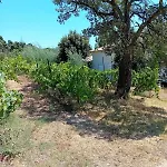 La Maison Sous Les Oliviers Casa D'iloa * بورتو فيكشْيو