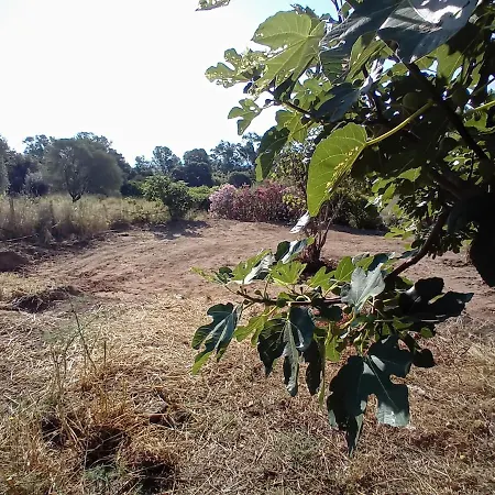 La Maison Sous Les Oliviers Casa D'iloa Vakantiehuis