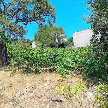 Сasa de vacaciones La Maison Sous Les Oliviers Casa D'iloa Porto Vecchio