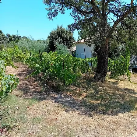 La Maison Sous Les Oliviers Casa D'iloa * Porto Vecchio