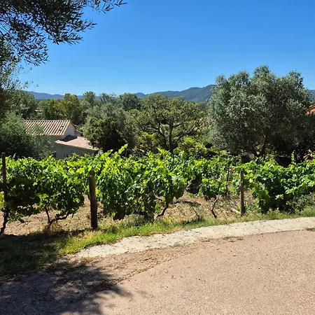 Сasa de vacaciones La Maison Sous Les Oliviers Casa D'iloa