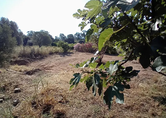 La Maison Sous Les Oliviers Casa D'iloa Vakantiehuis