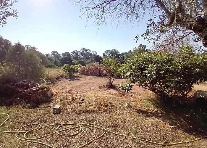 Holiday home La Maison Sous Les Oliviers Casa D'iloa