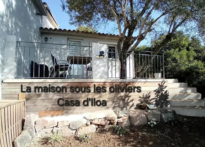 La Maison Sous Les Oliviers Casa D'iloa Vakantiehuis *