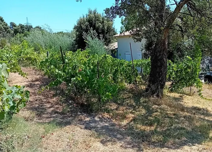 La Maison Sous Les Oliviers Casa D'iloa * Porto-Vecchio (Corsica)